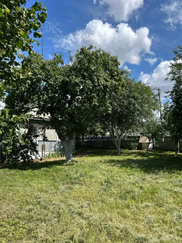 Продам дом Мусичи 19 км от Слуцка - Вся Беларусь - 256429 - Доска объявлений Kupika.by - Фото 4