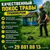 Уход за садом и огородом - Покос травы триммером - Вся Беларусь Покос травы триммером - Вся Беларусь - 255587 - Доска объявлений Kupika.by