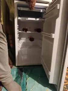 Холодильник офисный с морозилкой Renova RID-100W 100л 20кг 85см