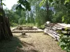 Продажа земельных участков - УЧАСТОК С ДОМОМ - Вся Беларусь - Фото 3 УЧАСТОК С ДОМОМ - Вся Беларусь - 256409 - Доска объявлений Kupika.by - Фото 3