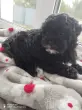 user_74436