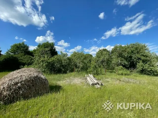 Продам дом с большим участком (клубничный, голубичный край) - Вся Беларусь - 255386 - Доска объявлений Kupika.by - Фото 11