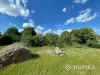 Продам дом с большим участком (клубничный, голубичный край) - Вся Беларусь - 255386 - Доска объявлений Kupika.by - Фото 11