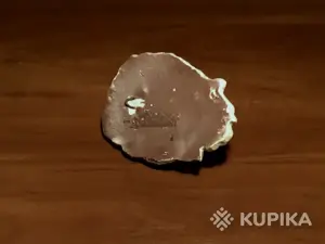Горельеф настенный на металлическом зацепе Лев