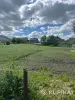 Продам участок рядом с Минском — деревня Марьяливо - Вся Беларусь - 211916 - Доска объявлений Kupika.by - Фото 5