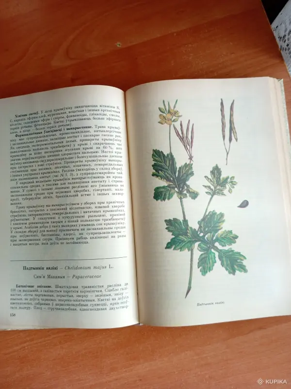 Лекарственные растения. Книга - Вся Беларусь - 254619 - Доска объявлений Kupika.by - Фото 4
