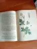 Лекарственные растения. Книга - Вся Беларусь - 254619 - Доска объявлений Kupika.by - Фото 4