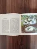 Книги, журналы - Книга. Макромицеты. Для грибников. - Вся Беларусь - Фото 2 Книга. Макромицеты. Для грибников. - Вся Беларусь - 254614 - Доска объявлений Kupika.by - Фото 2