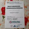 Коллекционирование - Футбольные программки - Вся Беларусь - Фото 5 Футбольные программки - Вся Беларусь - 258082 - Доска объявлений Kupika.by - Фото 5