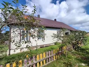 Большой теплый жилой дом в начале Налибокской пущи - д Янковичи Столбцовского р-на 80 км от МКАД.Маршрутка из Минска