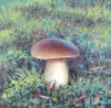 Другие товары для дома - Картины масло 30 х 40 см - Вся Беларусь - Фото 5 Картины масло 30 х 40 см - Вся Беларусь - 259609 - Доска объявлений Kupika.by - Фото 5