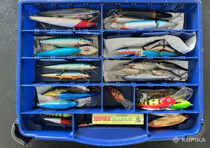 Товары для рыбалки - воблеры Rapala 28 шт + Salmo 3 шт + коробка - обмен - Вся Беларусь - Фото 7 воблеры Rapala 28 шт + Salmo 3 шт + коробка - обмен - Вся Беларусь - 251994 - Доска объявлений Kupika.by - Фото 7