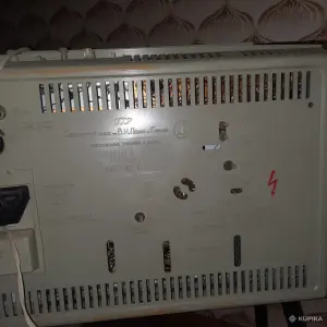 Чайка2