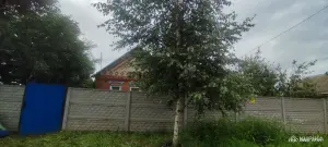 Продается дом д.Руденец Буда-Кошелевчкий рн