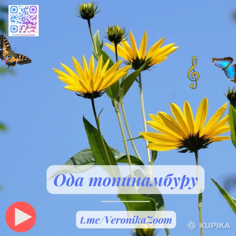 Другие услуги - Авторская песня на заказ - Вся Беларусь - Фото 9 Авторская песня на заказ - Вся Беларусь - 260788 - Доска объявлений Kupika.by - Фото 9