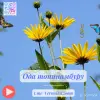 Другие услуги - Авторская песня на заказ - Вся Беларусь - Фото 9 Авторская песня на заказ - Вся Беларусь - 260788 - Доска объявлений Kupika.by - Фото 9
