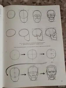 Лицо голова человека