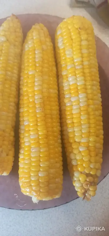 Продукты питания - Кукуруза - Вся Беларусь Кукуруза - Вся Беларусь - 260798 - Доска объявлений Kupika.by