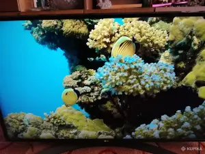 Телевизор LG Smart TV 4K Ultra HD