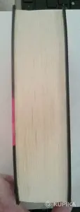 Стивен Кинг. Стрелок, Извлечение Троих, Бесплодные Земли