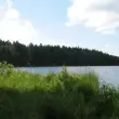 尼古拉