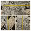 Блузки девушке р. 42, XS - Вся Беларусь - 260070 - Доска объявлений Kupika.by - Фото 9