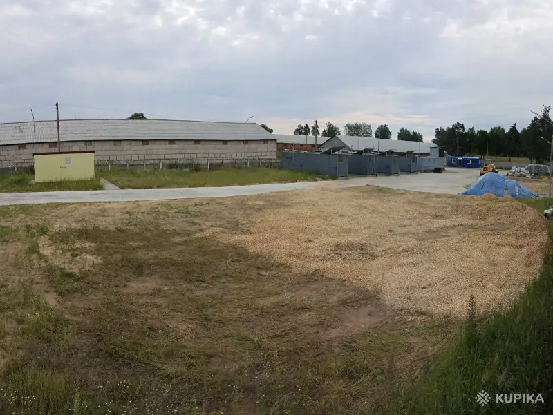 Открытая площадка, открытый склад, земельный участок в аренду в Борисове - Вся Беларусь - 260488 - Доска объявлений Kupika.by - Фото 3