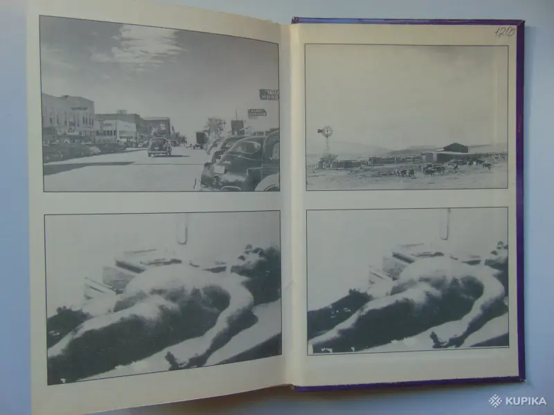 Книги, журналы - Пришельцы из космоса? Что случилось в Росуэлле в 1947 году? - Вся Беларусь - Фото 8 Пришельцы из космоса? Что случилось в Росуэлле в 1947 году? - Вся Беларусь - 259267 - Доска объявлений Kupika.by - Фото 8
