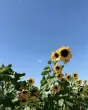 user_75569