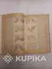 На спицах и крючком. Книга - Вся Беларусь - 259694 - Доска объявлений Kupika.by - Фото 6