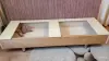 Диван-еврокнижка,-крепкий каркас - Вся Беларусь - 258322 - Доска объявлений Kupika.by - Фото 7