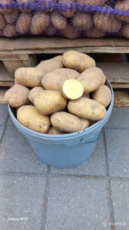 Продукты питания - Продам Картошку, Морковку, Капусту - Вся Беларусь - Фото 4 Продам Картошку, Морковку, Капусту - Вся Беларусь - 261532 - Доска объявлений Kupika.by - Фото 4