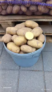 Продам Картошку, Морковку, Капусту