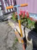 Самокаты, скейтборды и ролики - Самокаты - Вся Беларусь - Фото 4 Самокаты - Вся Беларусь - 262765 - Доска объявлений Kupika.by - Фото 4
