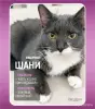 Кошки - Кошка Шани - и умная и красивая - Вся Беларусь Кошка Шани - и умная и красивая - Вся Беларусь - 263301 - Доска объявлений Kupika.by