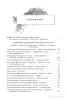 *Сказочные повести*. А. Волков. - Вся Беларусь - 263755 - Доска объявлений Kupika.by - Фото 3