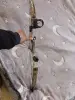 Стрелковый спорт - Лук блочный - Вся Беларусь - Фото 2 Лук блочный - Вся Беларусь - 263147 - Доска объявлений Kupika.by - Фото 2
