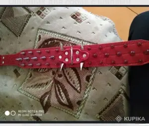 Ошейник для собак с шипами