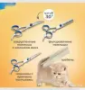 Набор ножниц для стрижки животных - Вся Беларусь - 263800 - Доска объявлений Kupika.by - Фото 4