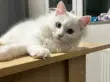 user_75912