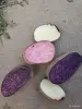 Семена и луковицы - Картофель Розовый дар , Фиолетовая удача, Голубой дунай - Желудок Картофель Розовый дар , Фиолетовая удача, Голубой дунай - Желудок - 260853 - Доска объявлений Kupika.by