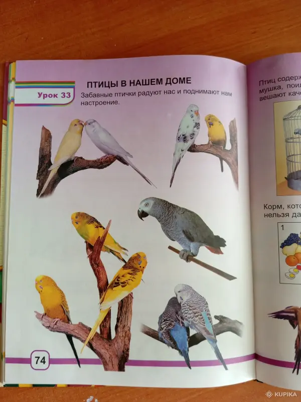 Трудовое обучение. книга - Вся Беларусь - 261966 - Доска объявлений Kupika.by - Фото 9