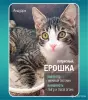 Ерошка - крошка в дар - Вся Беларусь - 262769 - Доска объявлений Kupika.by