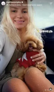 Тикап и мини мальтипу пушоны бишоны Китай