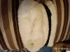 Женские аксессуары - Снуд - Вся Беларусь Снуд - Вся Беларусь - 263328 - Доска объявлений Kupika.by