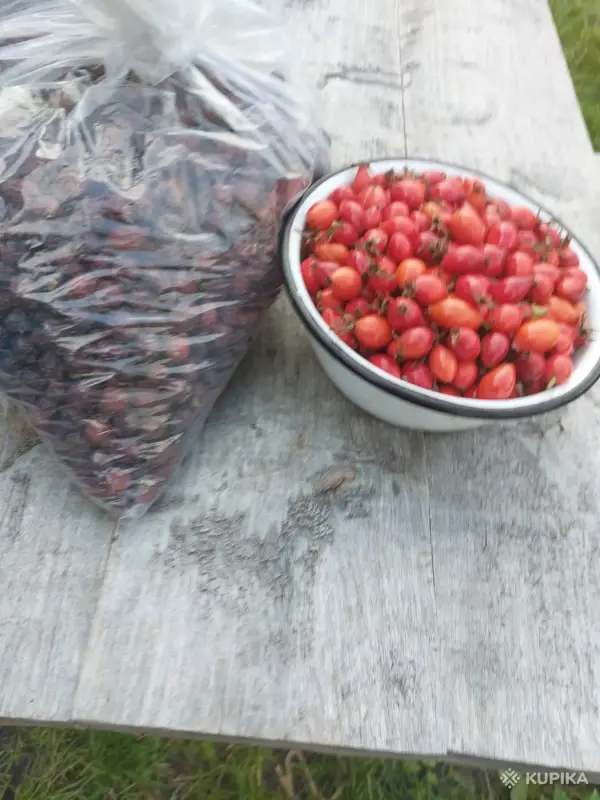 Продукты питания - шиповник - Вся Беларусь шиповник - Вся Беларусь - 263548 - Доска объявлений Kupika.by