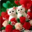 user_75729