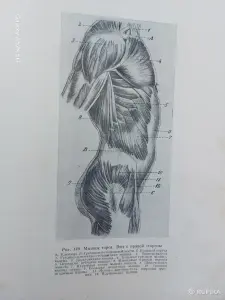 книга "Учебный рисунок"