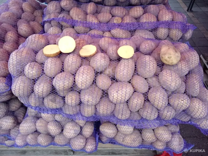 Продукты питания - Продам Картошку, Морковку, Капусту - Вся Беларусь - Фото 6 Продам Картошку, Морковку, Капусту - Вся Беларусь - 261532 - Доска объявлений Kupika.by - Фото 6
