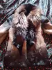 Женская верхняя одежда - Полушубок - Вся Беларусь Полушубок - Вся Беларусь - 262207 - Доска объявлений Kupika.by